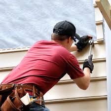 Best Vinyl Siding Installation  in Frankford, DE